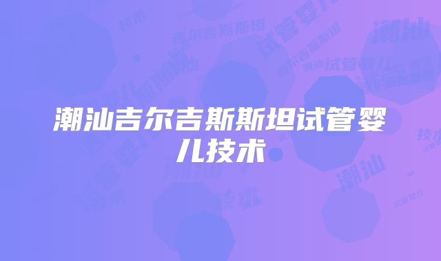 潮汕吉尔吉斯斯坦试管婴儿技术