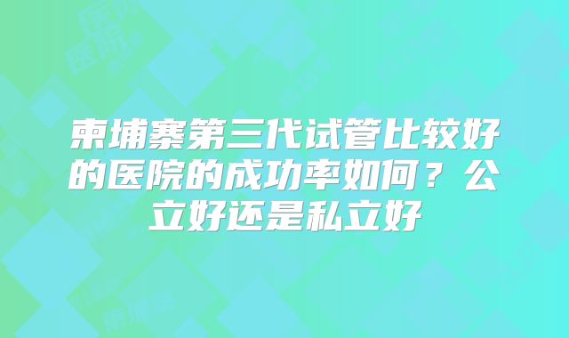 柬埔寨第三代试管比较好的医院的成功率如何?公立好还是私立好