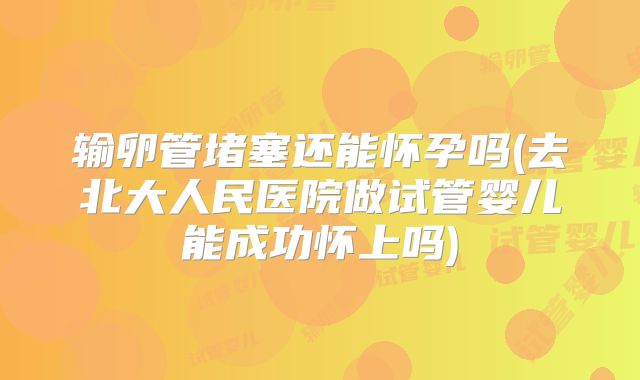 输卵管堵塞还能怀孕吗(去北大人民医院做试管婴儿能成功怀上吗)