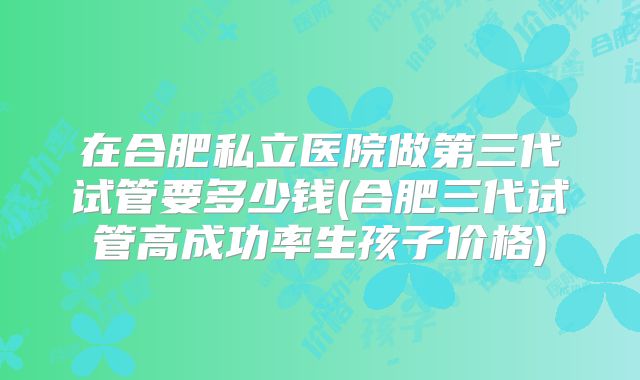 在合肥私立医院做第三代试管要多少钱(合肥三代试管高成功率生孩子价格)