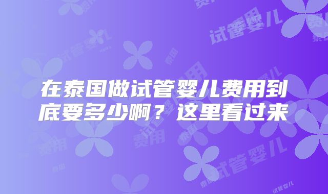 在泰国做试管婴儿费用到底要多少啊?这里看过来