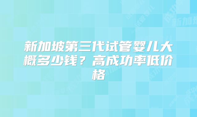 新加坡第三代试管婴儿大概多少钱？高成功率低价格