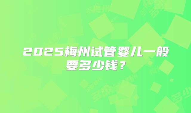 2025梅州试管婴儿一般要多少钱?