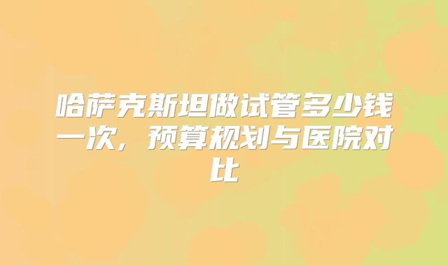 哈萨克斯坦做试管多少钱一次, 预算规划与医院对比