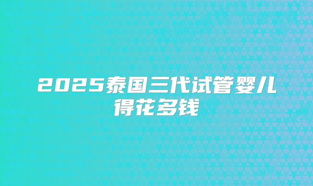 2025泰国三代试管婴儿得花多钱