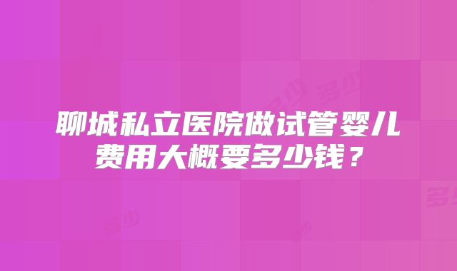 聊城私立医院做试管婴儿费用大概要多少钱?