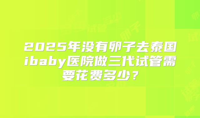 2025年没有卵子去泰国ibaby医院做三代试管需要花费多少？