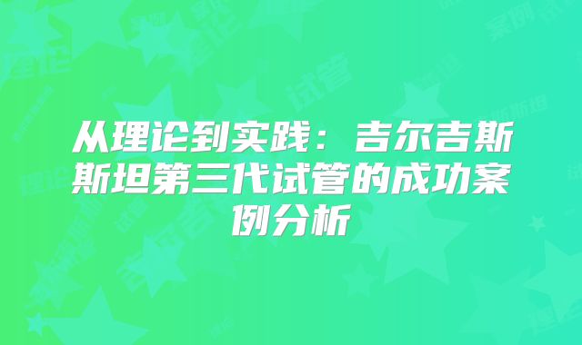 从理论到实践：吉尔吉斯斯坦第三代试管的成功案例分析