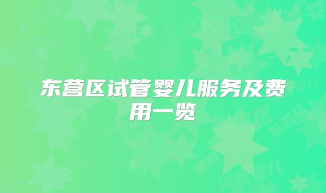 东营区试管婴儿服务及费用一览