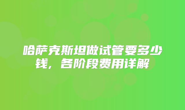 哈萨克斯坦做试管要多少钱, 各阶段费用详解