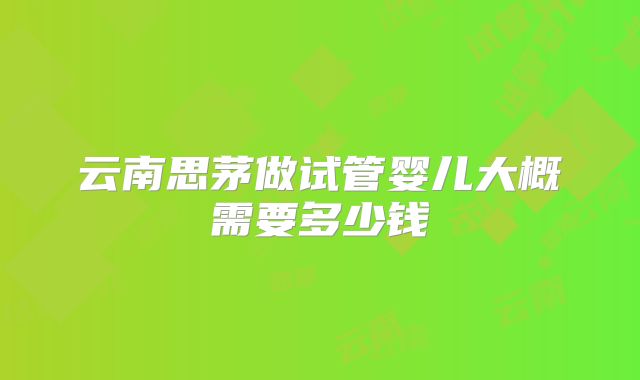 云南思茅做试管婴儿大概需要多少钱