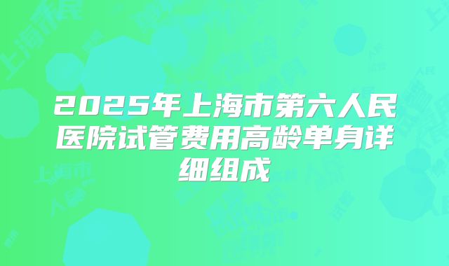 2025年上海市第六人民医院试管费用高龄单身详细组成
