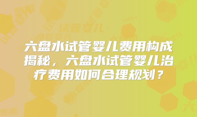 六盘水试管婴儿费用构成揭秘,六盘水试管婴儿治疗费用如何合理规划?