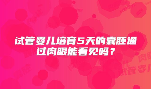 试管婴儿培育5天的囊胚通过肉眼能看见吗？