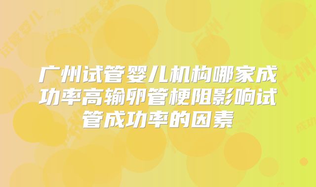广州试管婴儿机构哪家成功率高输卵管梗阻影响试管成功率的因素