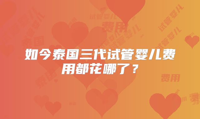如今泰国三代试管婴儿费用都花哪了？
