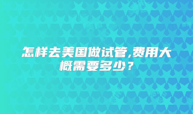 怎样去美国做试管,费用大概需要多少?