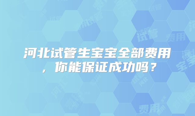 河北试管生宝宝全部费用，你能保证成功吗？