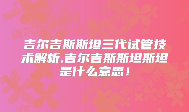 吉尔吉斯斯坦三代试管技术解析,吉尔吉斯斯坦斯坦是什么意思！
