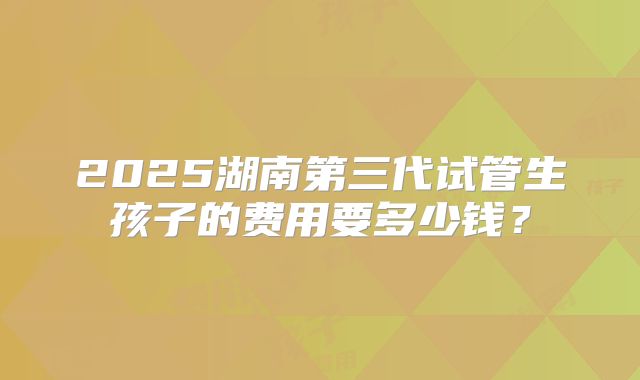 2025湖南第三代试管生孩子的费用要多少钱？