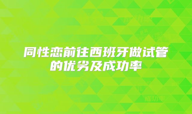 同性恋前往西班牙做试管的优劣及成功率