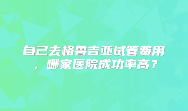 自己去格鲁吉亚试管费用,哪家医院成功率高?