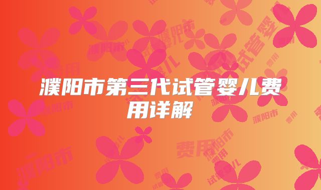 濮阳市第三代试管婴儿费用详解