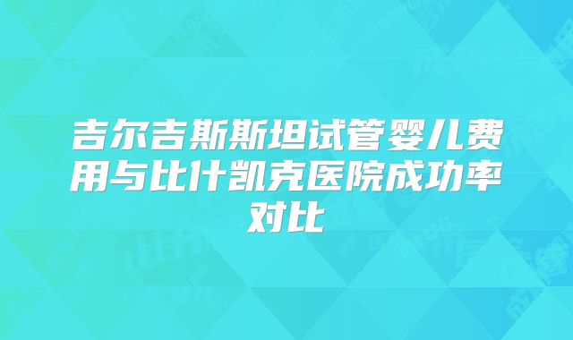 吉尔吉斯斯坦试管婴儿费用与比什凯克医院成功率对比