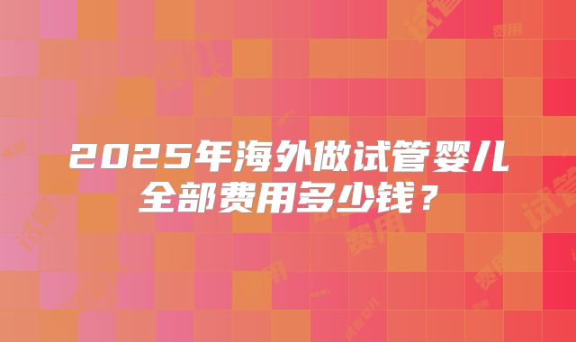 2025年海外做试管婴儿全部费用多少钱？
