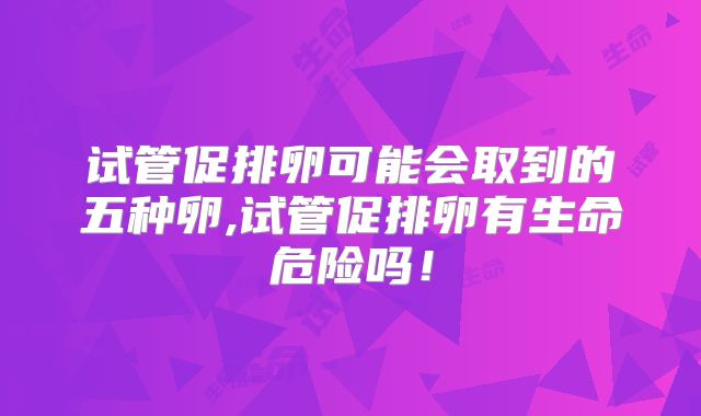 试管促排卵可能会取到的五种卵,试管促排卵有生命危险吗!