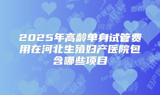 2025年高龄单身试管费用在河北生殖妇产医院包含哪些项目