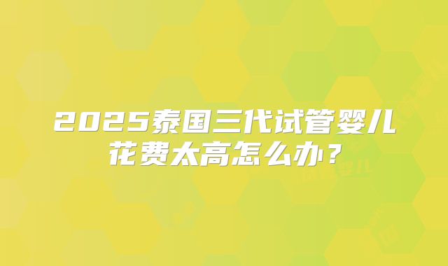 2025泰国三代试管婴儿花费太高怎么办？