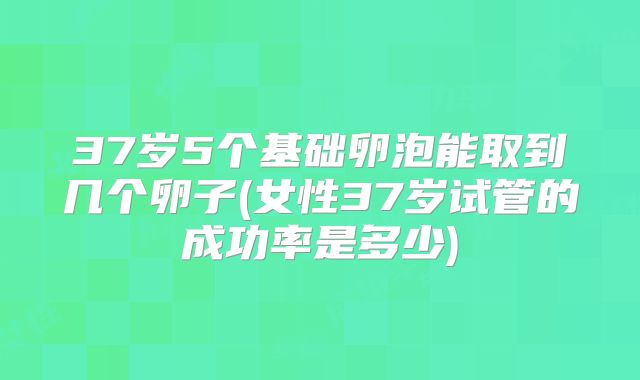 37岁5个基础卵泡能取到几个卵子(女性37岁试管的成功率是多少)