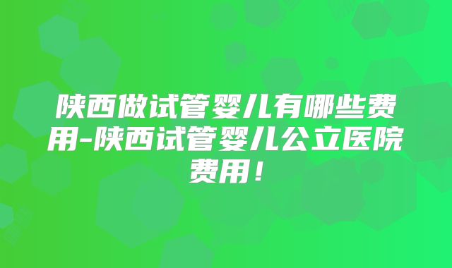 陕西做试管婴儿有哪些费用-陕西试管婴儿公立医院费用！