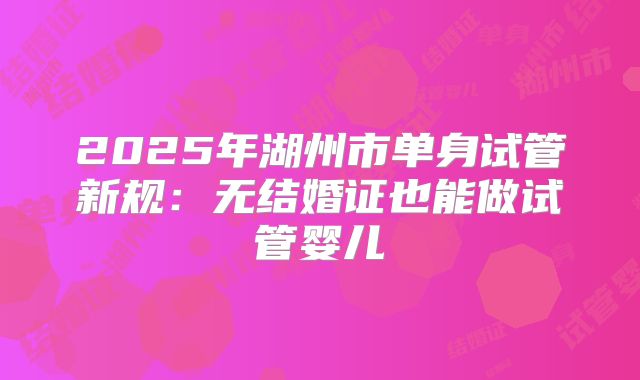 2025年湖州市单身试管新规:无结婚证也能做试管婴儿