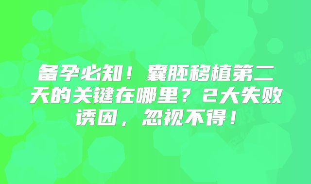 备孕必知!囊胚移植第二天的关键在哪里?2大失败诱因,忽视不得!