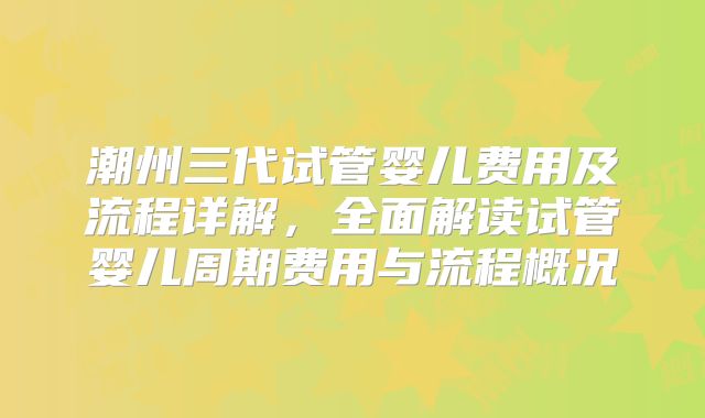 潮州三代试管婴儿费用及流程详解,全面解读试管婴儿周期费用与流程概况