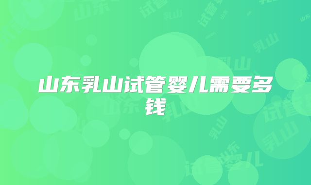 山东乳山试管婴儿需要多钱