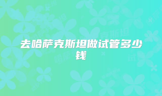 去哈萨克斯坦做试管多少钱