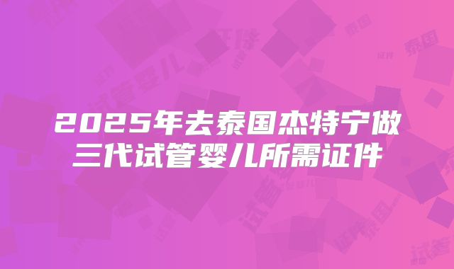 2025年去泰国杰特宁做三代试管婴儿所需证件