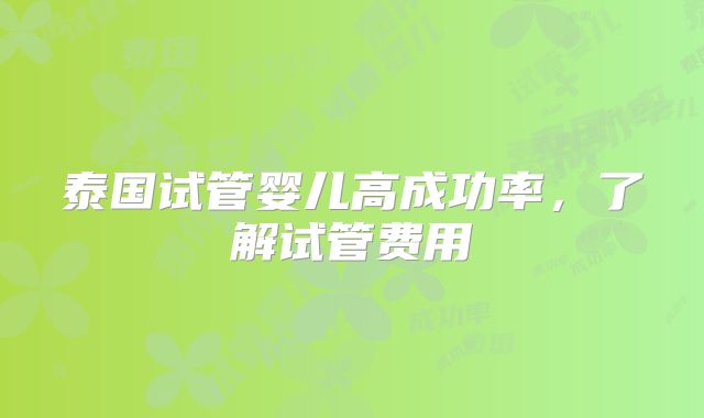 泰国试管婴儿高成功率,了解试管费用