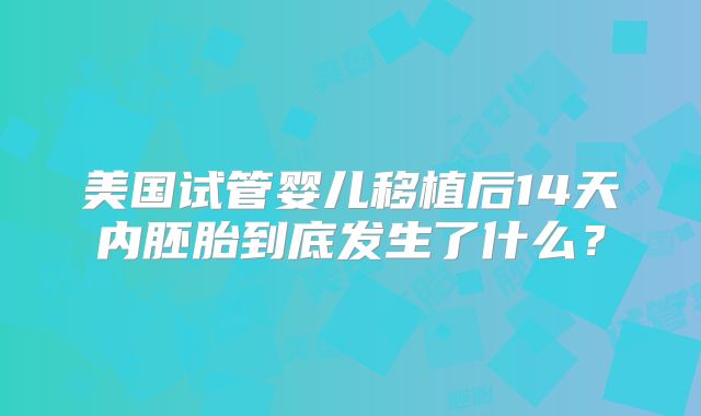 美国试管婴儿移植后14天内胚胎到底发生了什么？