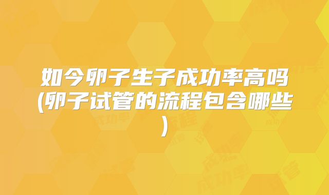 如今卵子生子成功率高吗(卵子试管的流程包含哪些)