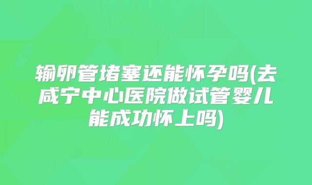 输卵管堵塞还能怀孕吗(去咸宁中心医院做试管婴儿能成功怀上吗)