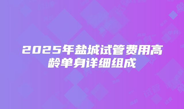 2025年盐城试管费用高龄单身详细组成