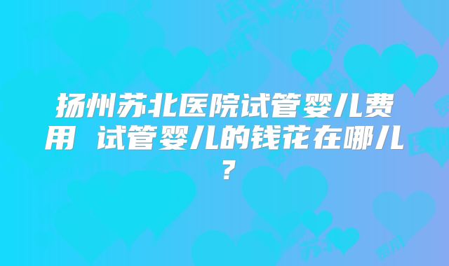 扬州苏北医院试管婴儿费用 试管婴儿的钱花在哪儿？