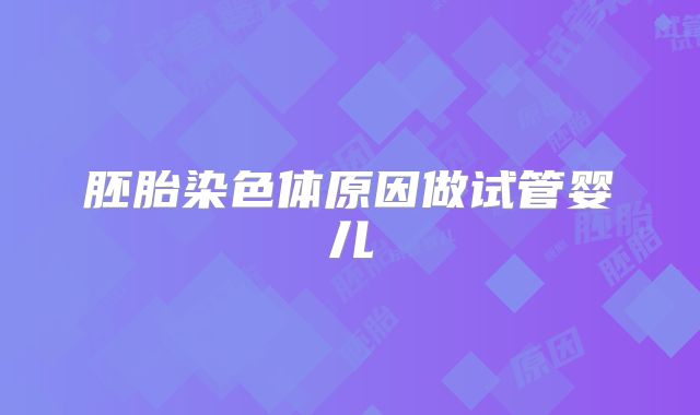 胚胎染色体原因做试管婴儿