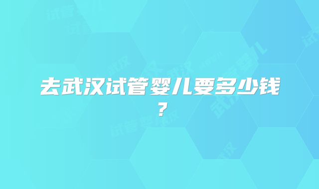 去武汉试管婴儿要多少钱？