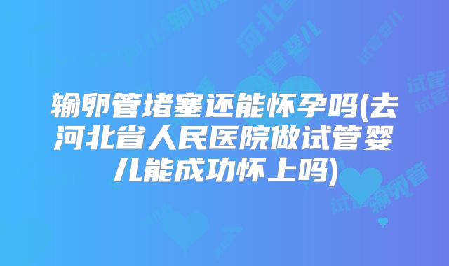 输卵管堵塞还能怀孕吗(去河北省人民医院做试管婴儿能成功怀上吗)
