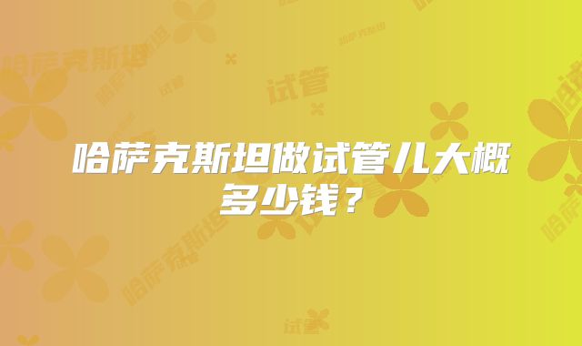 哈萨克斯坦做试管儿大概多少钱?